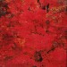 36630_har-0278 thumbnail